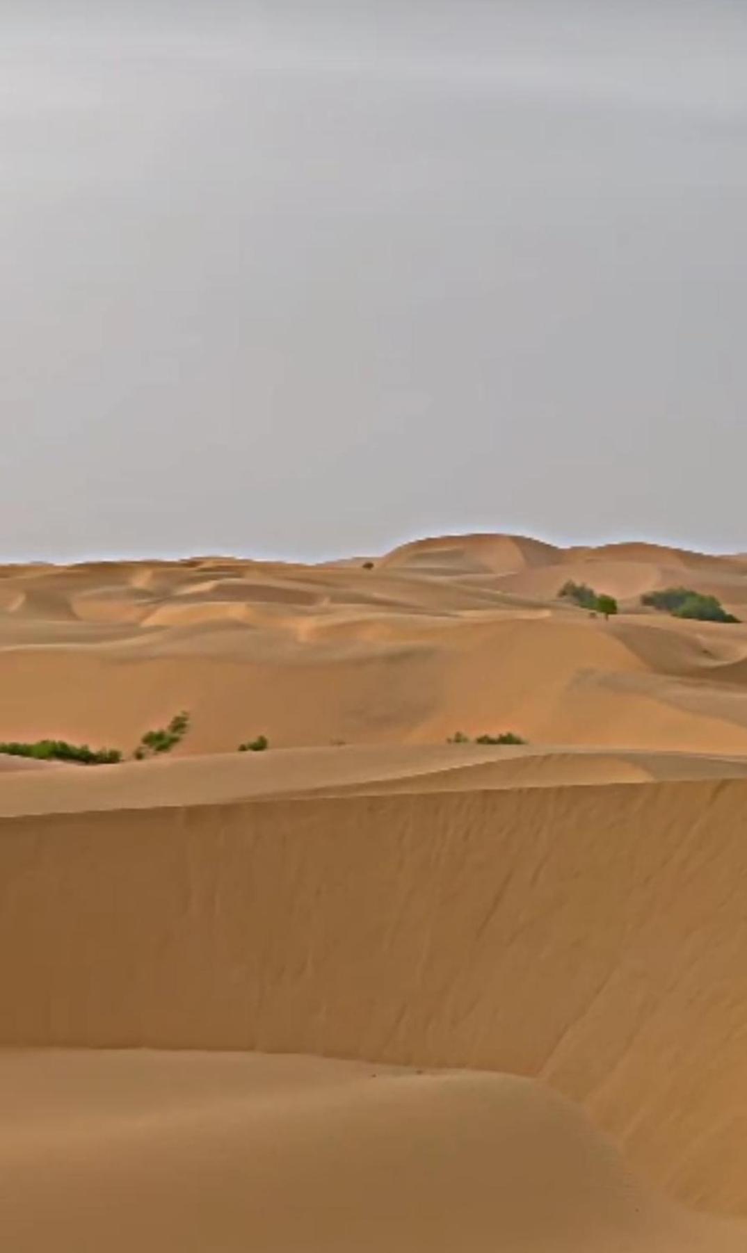 Hotel Jaswant Palace Jaisalmer Ngoại thất bức ảnh